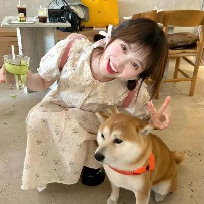 记忆的芬芳