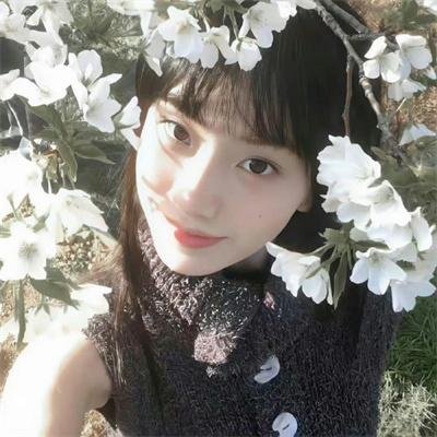国家公园：美国最好的主意