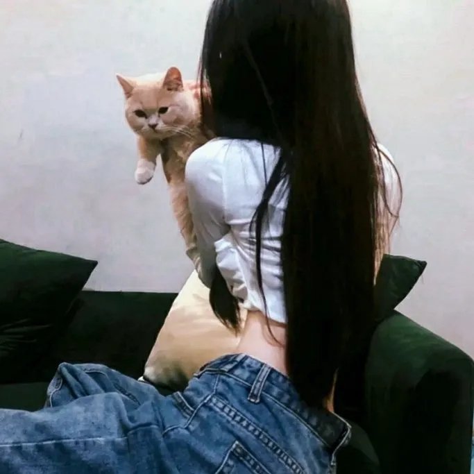 七彩狗